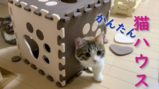 ジョイントマットで猫ハウス作ってみた