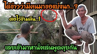 อารจารย์ใหญ่เรา(พ่อจิม)..ต่อนกเขาชวาข้ามคืน...