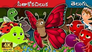 శీతాకోకచిలుక | The Butterfly Story | Telugu Stories | Telugu Fairy Tales