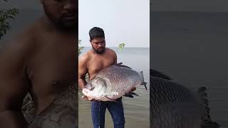 Very big catla fish 🥵❤️‍🩹🤭#catfishingtips #catlafish