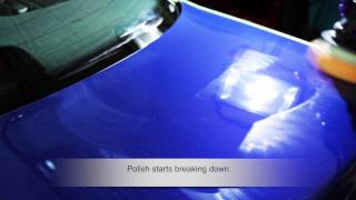 Project: 2001 Audi S4 - Restoration Project - Sonax Perfect Finish Polish