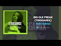 Trey Songz & Megan Thee Stallion - Big Ole Freak (TriggaMix) (AUDIO)