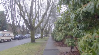 Life in Vancouver BC Canada. Mild Winter Conditions (Grey Sky). Alma Street to Blanca St (W11th Ave)