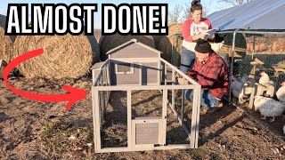 Unboxing \u0026 Assembling the Aivituvin AIR60: Perfect Coop for Growing Rare Chickens!