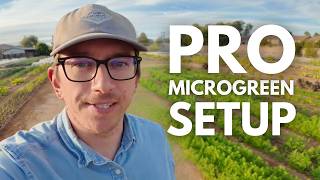 Grow More Microgreens in Less Space! Microgreens Grow Rack Setup