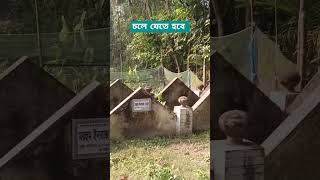 সবাই কে এক দিন চলে যেতে হবে #shorts #reels #video #everyone #আজহারী