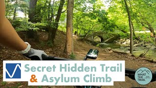 Secret Hidden Trail \u0026 Asylum Climb - Don Valley MTB