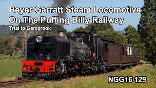 Beyer-Garratt Steam Locomotive Trial at Puffing Billy Australia! NGG16 129