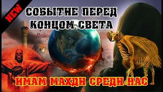 Имама Махди ищут спецслужбы