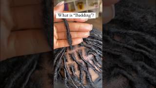 What is the loc "budding" phase? #shorts #hairtips #naturalhair