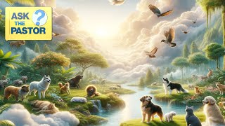 Do animals go to Heaven? | ASK THE PASTOR LIVE