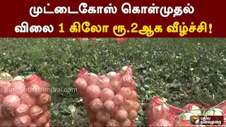 முட்டைகோஸ் கொள்முதல் விலை 1 கிலோ ரூ.2ஆக வீழ்ச்சி! | PTT