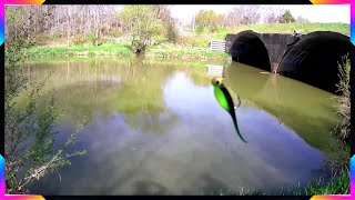 Wczoraj Brały a Dziś Tylko Skubały (Yesterday fish bit and today they only nibbled)