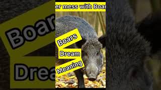 Boars Dream meaning #shorts 🐗