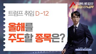 트럼프 취임 D-12 ! 올해를 주도할 종목은?