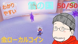 マリオオデッセイ 雪の国 全ローカルコインの取り方