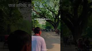 কারো প্রতি অতিরিক্ত ভালোবাসা দেখানো উচিত নয় #youtubeshorts #love #shortsvideo #reels #youtube