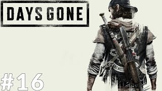 Days Gone (PS4) #16 - Nawiązywanie kontaktu [PL]