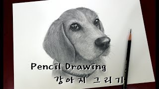 연필드로잉 - 동물(강아지)그리기 [ Drawing animal/How to draw a dog ]