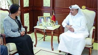 Qatar, Ethiopia discuss joint cooperation