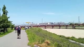 浅香山緑道から　南海高野線大和川鉄橋上　我孫子前駅から浅香山駅方面車両走行　2024/5/11