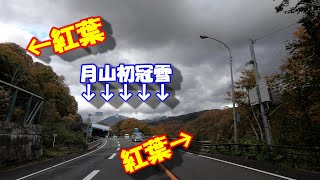 【月山初冠雪と紅葉！】国道112号「月山新道」で雪見＆紅葉狩り