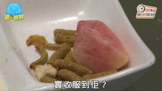 超萌飛鼠熱潮襲港　蜜袋鼯棄養率高因為