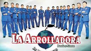 Metiendo las patas- La Arrolladora Banda el Limón