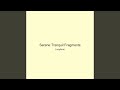 Serene Tranquil Fragments