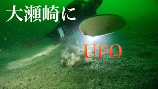 【大瀬崎ダイビング】ナイトダイビングのようで楽しい✨土砂が流入した海🌊7月23日 大瀬崎 先端。