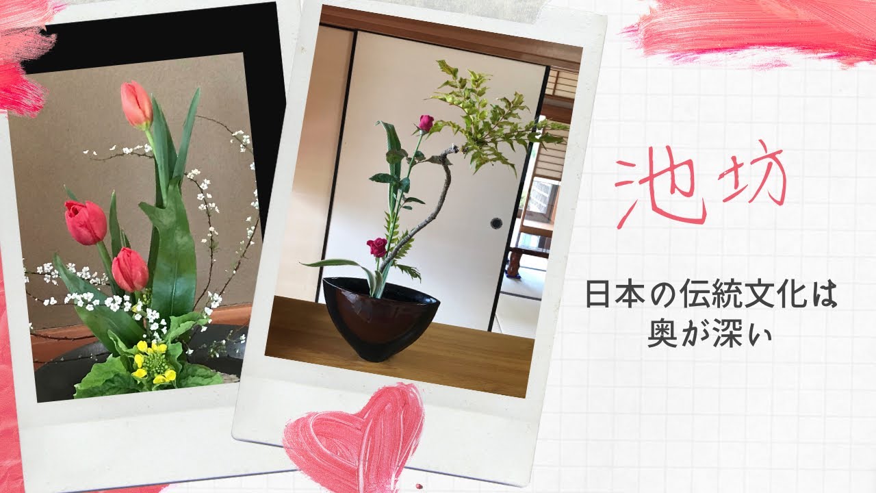 池坊保子に辞任を要求 隠していたネタもついに漏洩 貴乃花が白鵬 八角理事長の次に狙っていたのはコレだった 日馬富士問題 池坊保子に辞任を要求 隠していたネタもついに漏洩 貴乃花が白鵬 八角理事長の次に狙っていたのはコレだった 日馬富士問題