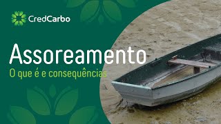 Assoreamento - O que é e consequências