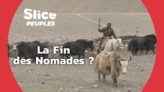 Pourquoi les Nomades des Himalayas Quittent la Montagne | SLICE PEUPLES