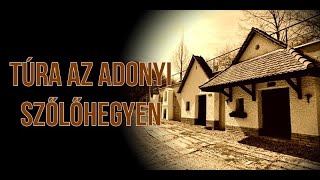 Túra az adonyi szőlőhegyen