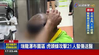 瑞龍瀑布園區 虎頭蜂攻擊21人螫傷送醫