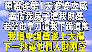 領證後第1天婆婆立威，霸佔我房子搶我財產，老公也拿刀逼我下跪道歉，我暗中調查送上大禮，下一秒讓他們人財兩空！#情感秘密 #情感 #情感故事 #深夜讀書 #中年 #家庭 #為人處世 #老年