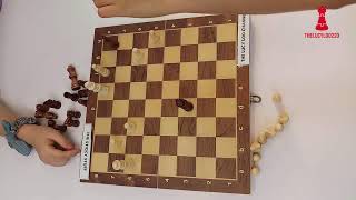 #042 TheLucyLoo Study Chess Daily | Music for Study | Chess Passion Team