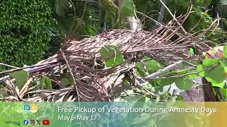 Prepare for Hurricane Season During Vegetation Amnesty Days