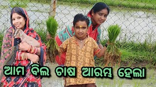 ଆମ ବିଲ ଚାଷ ଆରମ୍ଭ ହେଲା || JUNIOR LIPUN || ANU ||