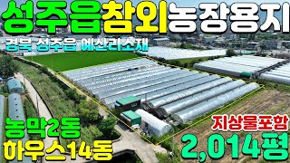 NO:1-1101번#성주군땅.성주땅.성주군부동산.성주부동산.성주군성주읍예산리참외농지매매.성주군성주읍예산리참외농장지매매.성주군성주읍예산리참외논매매.성주군성주읍예산리참외농장용지매매