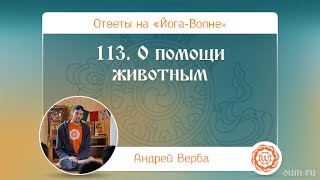 А.Верба. Ответы на «Йога-Волне». 113. О помощи животным