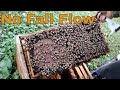 🔵What do my bees need for winter? October 11th