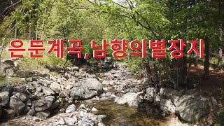 은둔계곡,소나무숲이 우거진,고급별장지,옥천면 암반계곡,정남향,최고의별장지,2-765