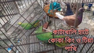 রাজশাহী কাটাখালি হাটে কোকা কিং কবুতর  এবং টিয়া পাখি দেখুন ও দাম 😁 ❤❤❤❤❤🙋