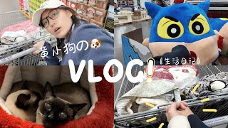 北京vlog｜les电子日记｜今日幸福是山姆超市给的