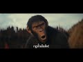 20th Century Studios' Kingdom of The Planet of The Apes : Battle | 9 พฤษภาคม ในโรงภาพยนตร์