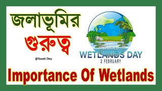 Importance of Wetlands | জলাভূমির গুরুত্ব বাংলা রচনা | Save Wetlands Essay | world wetland day feb 2