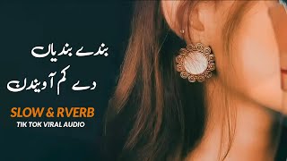 Bande Bandeyan De Kam A Vendin - Tahir Nayyer - SLOW + REVERB