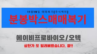 분봉박스매매복기 11월 19일