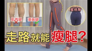 氣質養成③ 🚶‍♀️走路就能瘦腿翹臀？學對姿勢，邊走邊瘦~【文不叮Winnie】